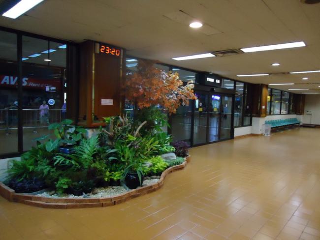 DSC02684_resize.JPG